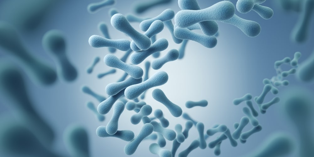 oral-probiotics-markham