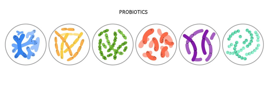 probiotics-types